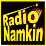radionamkin radionamkin